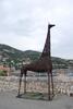 Girafe à villefranche sur mer